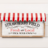 Panneau décoratif à auvent Strawberry Fields